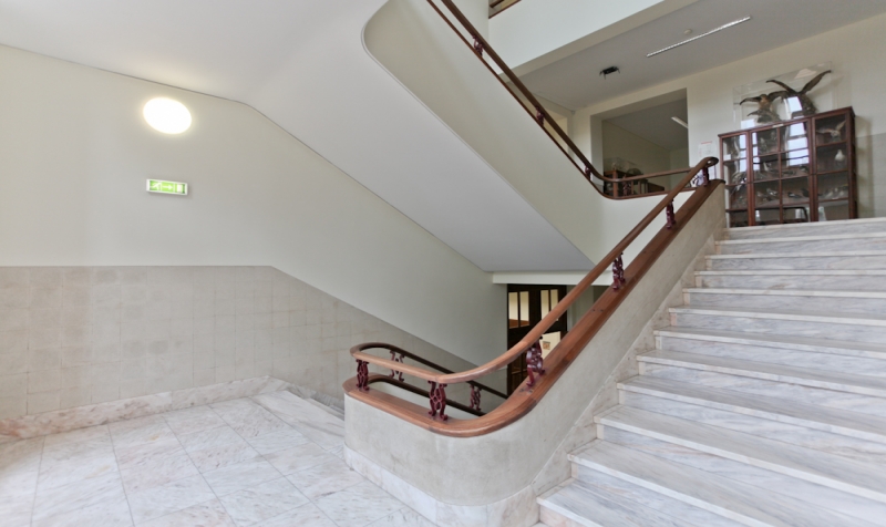 Reabilitação da E.S. Carolina Michaelis