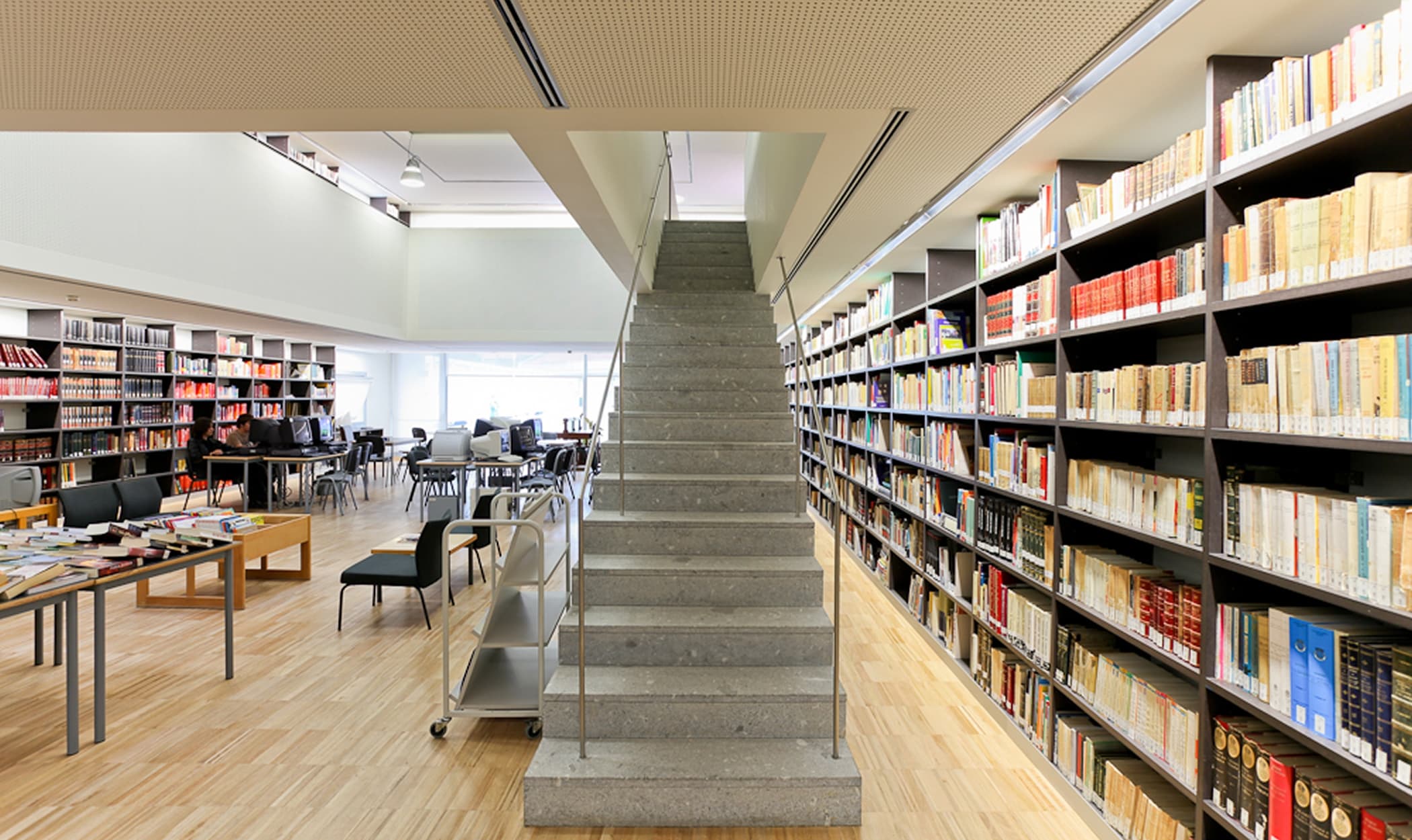 Reabilitação da E.S. Sá de Miranda