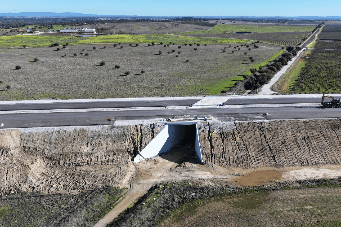 IP2 – Variante Nascente de Évora 4